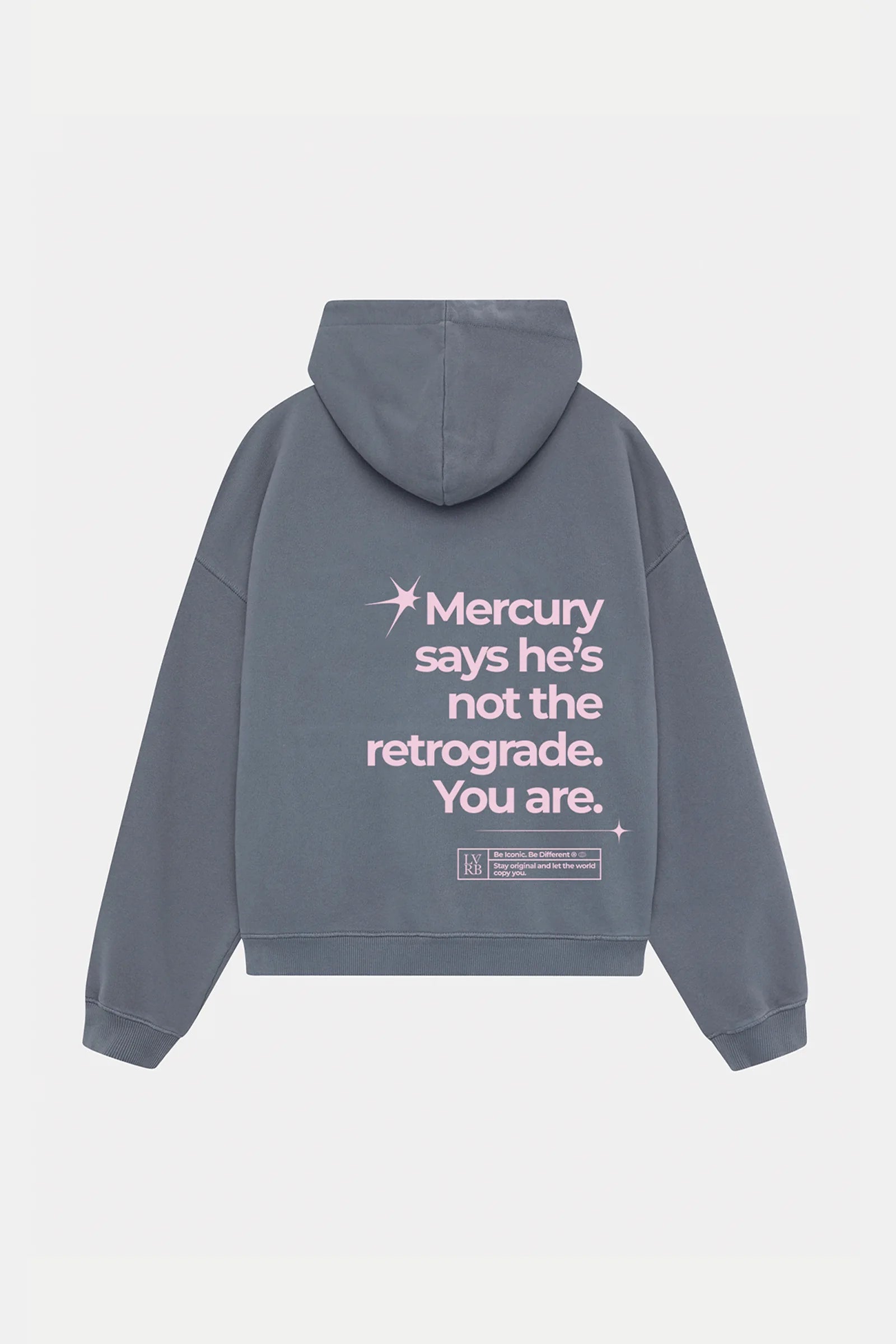Polerón Hoodie Mercury Grey Pink Boxi Fit